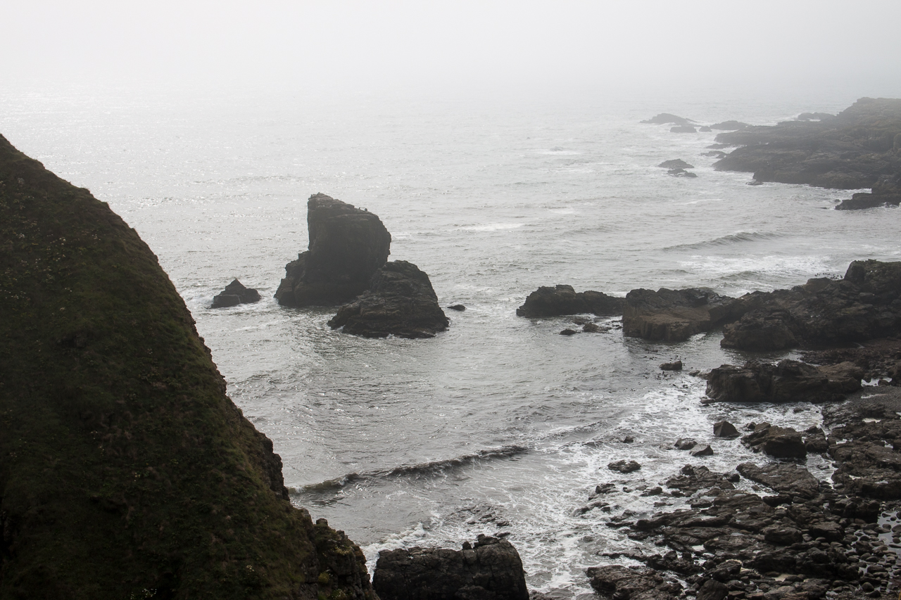 Muchalls to Stonehaven 2015 Images and Opinions